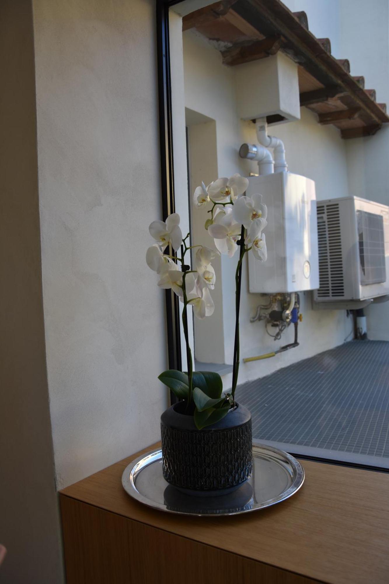Ferienwohnung Il Giardino Di Dinda Arezzo Exterior foto